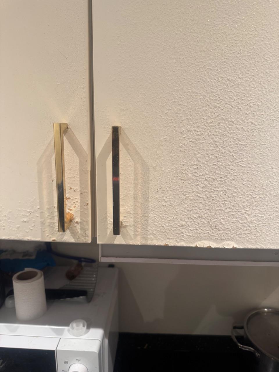 Testing